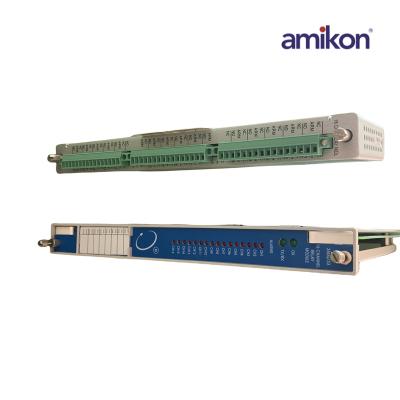 ماژول نمایشگر دمای 16 کانال Bently Nevada (RTD) 3500/65-01-00