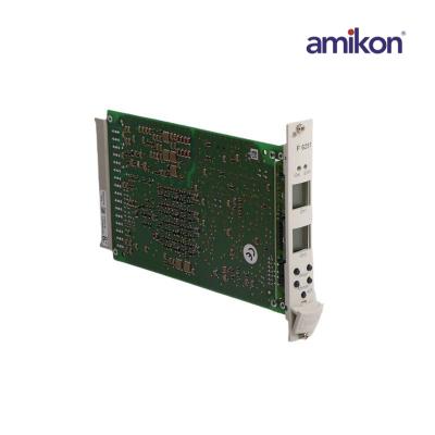 ماژول مانیتور ایمنی هیما F6251